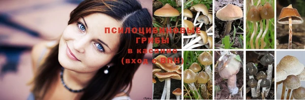 apvp Ладушкин