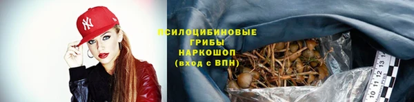 apvp Ладушкин