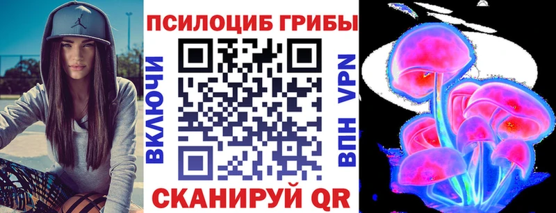 магазин продажи   даркнет состав  Псилоцибиновые грибы MAGIC MUSHROOMS  Тында 
