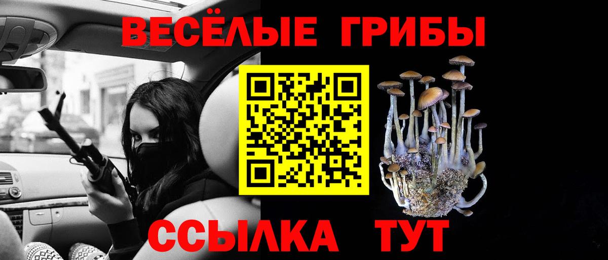 Тында  Галлюциногенные грибы Psilocybe  Вход с VPN 