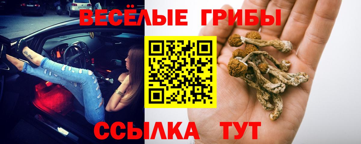 Галлюциногенные грибы Psilocybine cubensis Тында